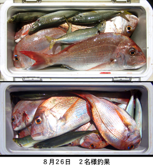 来温丸（らいおんまる） 釣果