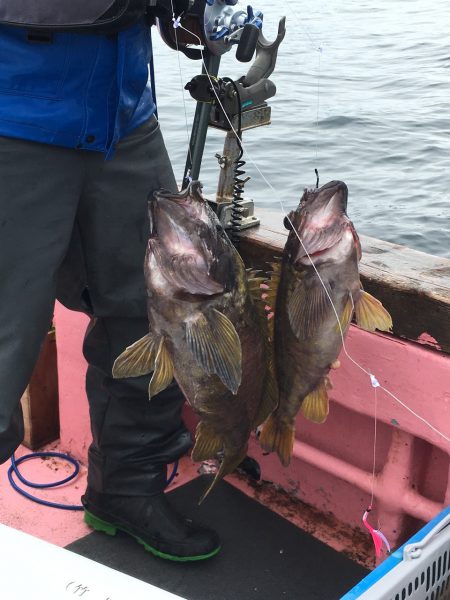 第八平成丸 釣果