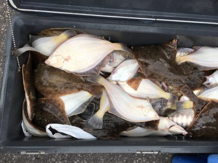 第八平成丸 釣果