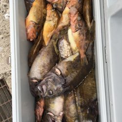 第八平成丸 釣果