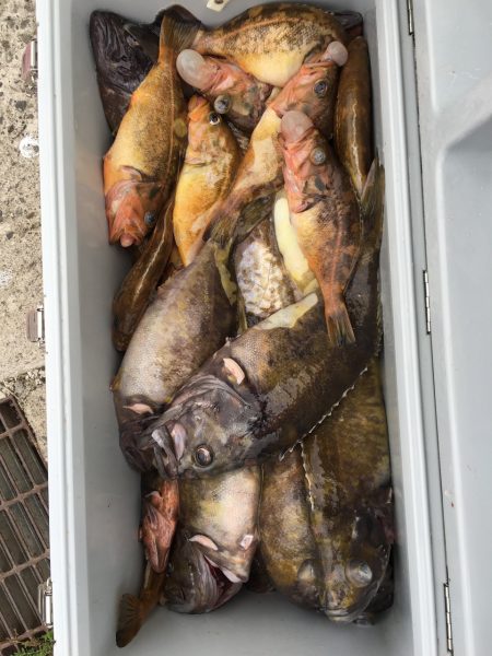 第八平成丸 釣果