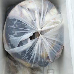 第八平成丸 釣果