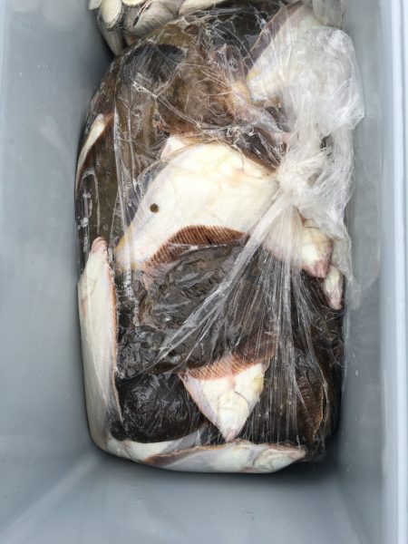 第八平成丸 釣果