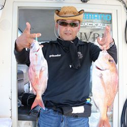 松本釣船２ 釣果