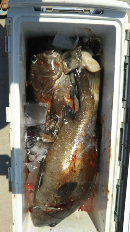 モンロー号 釣果