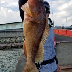 オーフリー 釣果