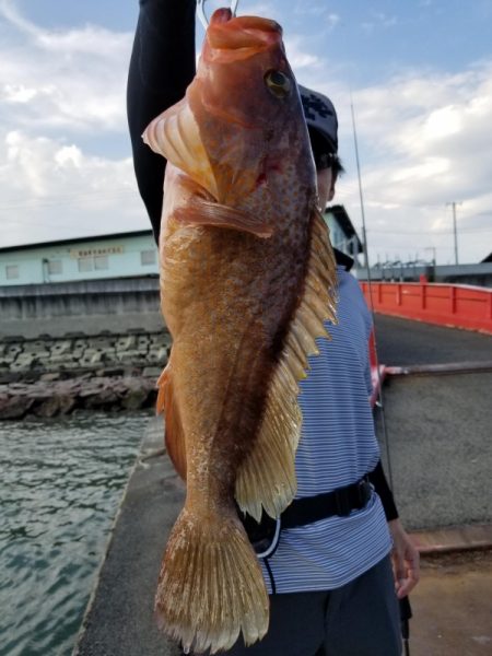 オーフリー 釣果