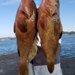 オーフリー 釣果