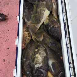 第八平成丸 釣果