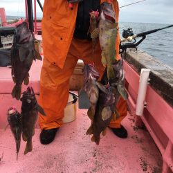 第八平成丸 釣果