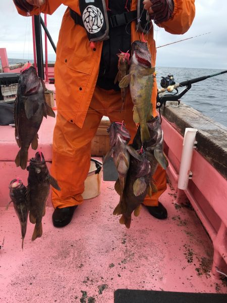 第八平成丸 釣果