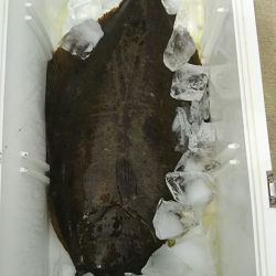 モンロー号 釣果