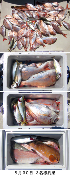 来温丸（らいおんまる） 釣果