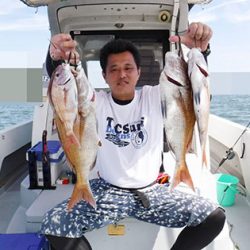 松本釣船２ 釣果