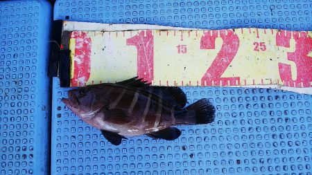 第二常豊丸 釣果