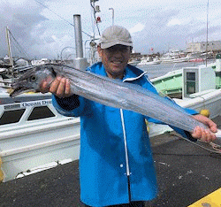 橋安丸 釣果