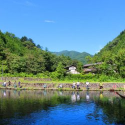 小菅トラウトガーデン 釣果