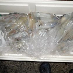 第二一之紀丸（ダイニイチノキマル） 釣果