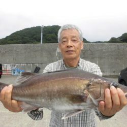 大進丸（新潟） 釣果
