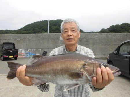 大進丸（新潟） 釣果