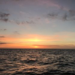 寿裕 （YOSHIHIRO） 釣果