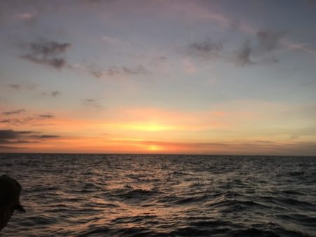 寿裕 （YOSHIHIRO） 釣果