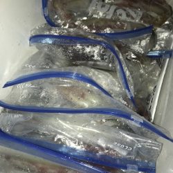 寿裕 （YOSHIHIRO） 釣果