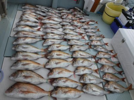 遊漁船 幸友丸 釣果