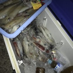 寿裕 （YOSHIHIRO） 釣果