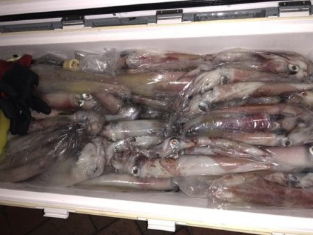 幸風（さちかぜ） 釣果