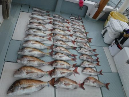 遊漁船 幸友丸 釣果