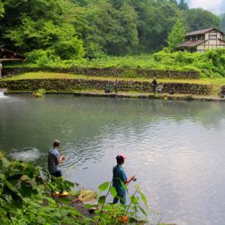 小菅トラウトガーデン 釣果