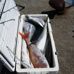 第五慶門丸 釣果