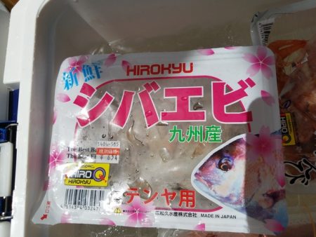 遊漁船　ニライカナイ 釣果