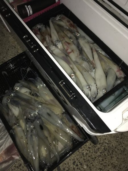 寿裕 （YOSHIHIRO） 釣果