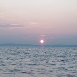 かもめ釣船 釣果