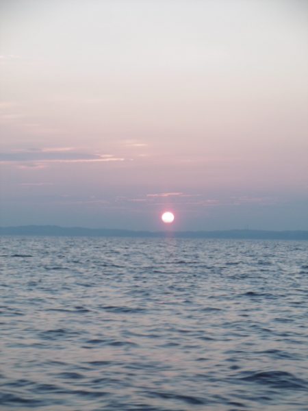 かもめ釣船 釣果