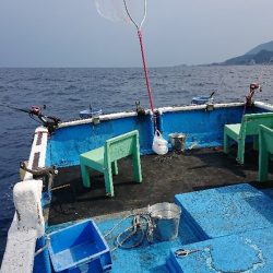 龍神丸(福井) 釣果