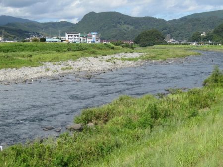 狩野川(狩野川漁業協同組合) 釣果