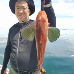 遊漁船　ニライカナイ 釣果