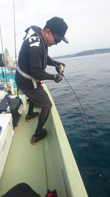 気仙沼 つり丸 釣果