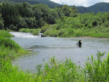 狩野川(狩野川漁業協同組合) 釣果