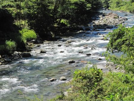 狩野川(狩野川漁業協同組合) 釣果