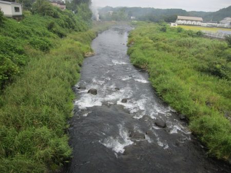 狩野川(狩野川漁業協同組合) 釣果