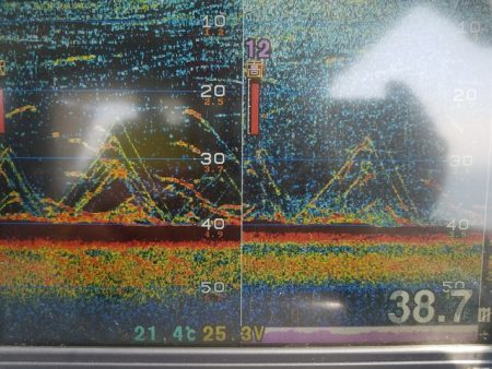 遊漁船　ニライカナイ 釣果