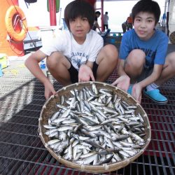 尼崎市立魚つり公園 釣果