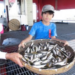 尼崎市立魚つり公園 釣果