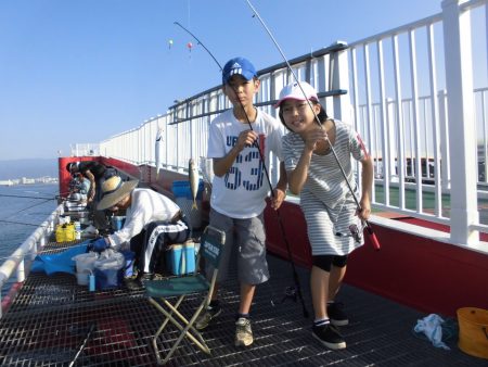 尼崎市立魚つり公園 釣果
