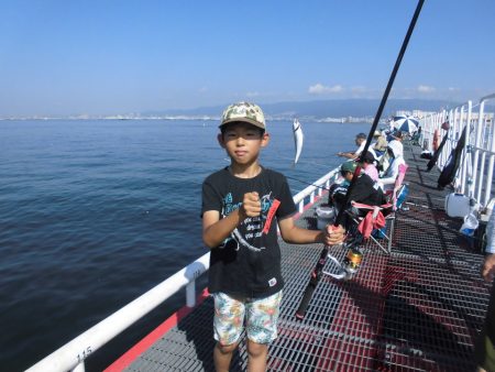 尼崎市立魚つり公園 釣果