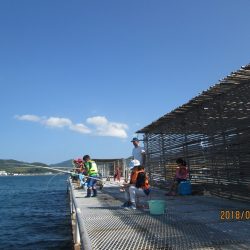 下関フィッシングパーク 釣果